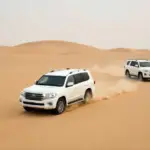 Altair Desert Safari